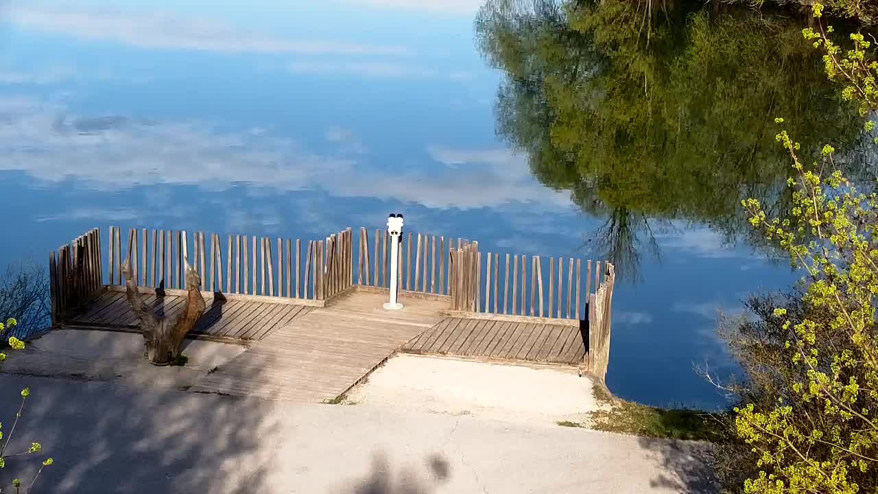 Webcam Ribnik Vrbje – Žalec