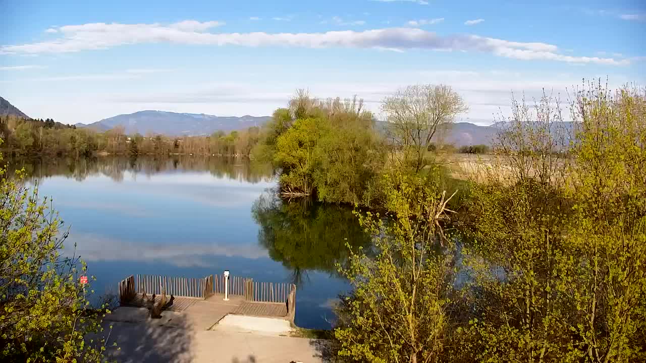 Web kamera Ribnik Vrbje – Žalec