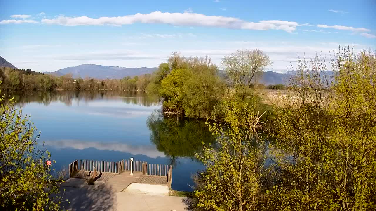Webcam Ribnik Vrbje – Žalec