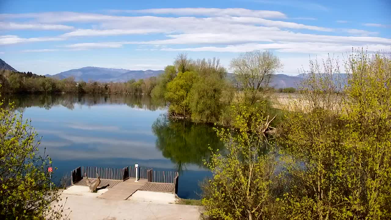 Webcam Ribnik Vrbje – Žalec