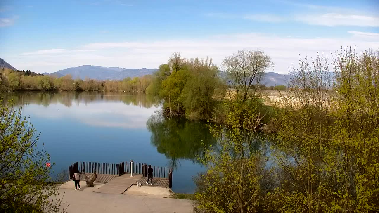 Spletna kamera Ribnik Vrbje – Žalec