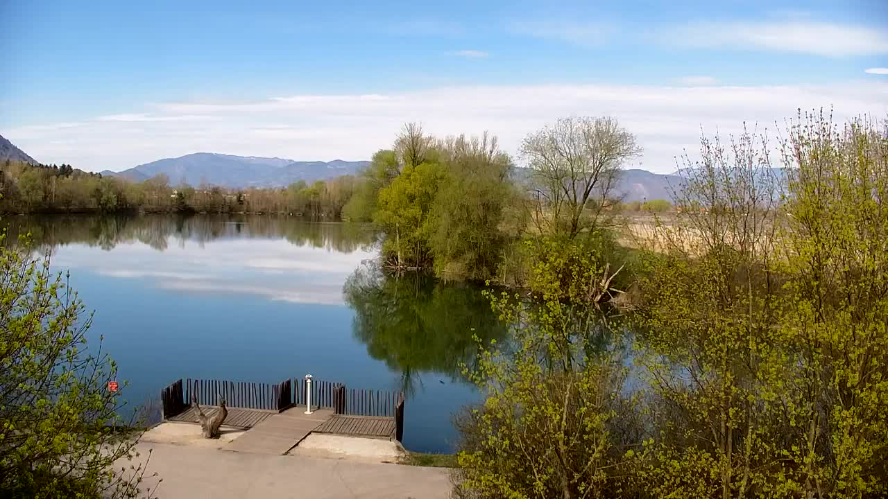Webcam Ribnik Vrbje – Žalec