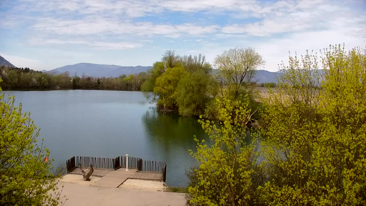 Webcam Ribnik Vrbje – Žalec