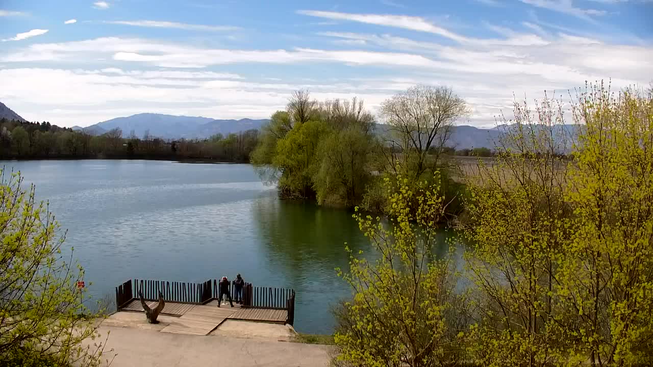 Spletna kamera Ribnik Vrbje – Žalec