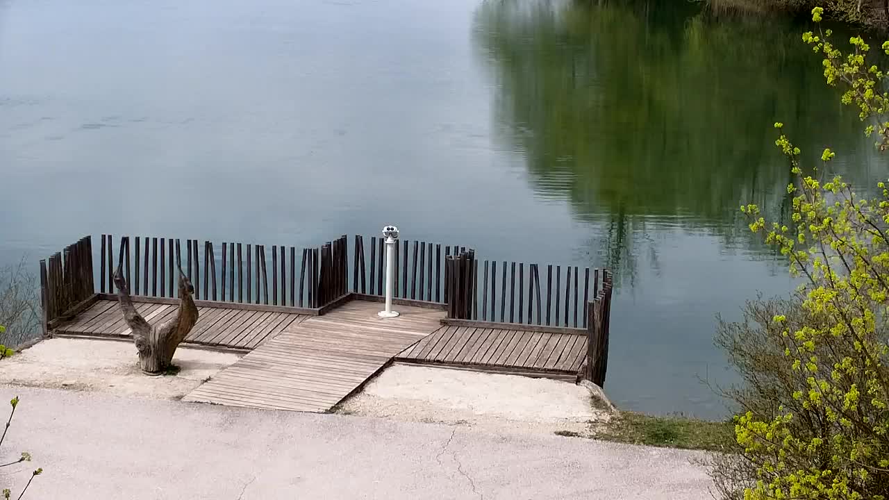 Webcam Ribnik Vrbje – Žalec