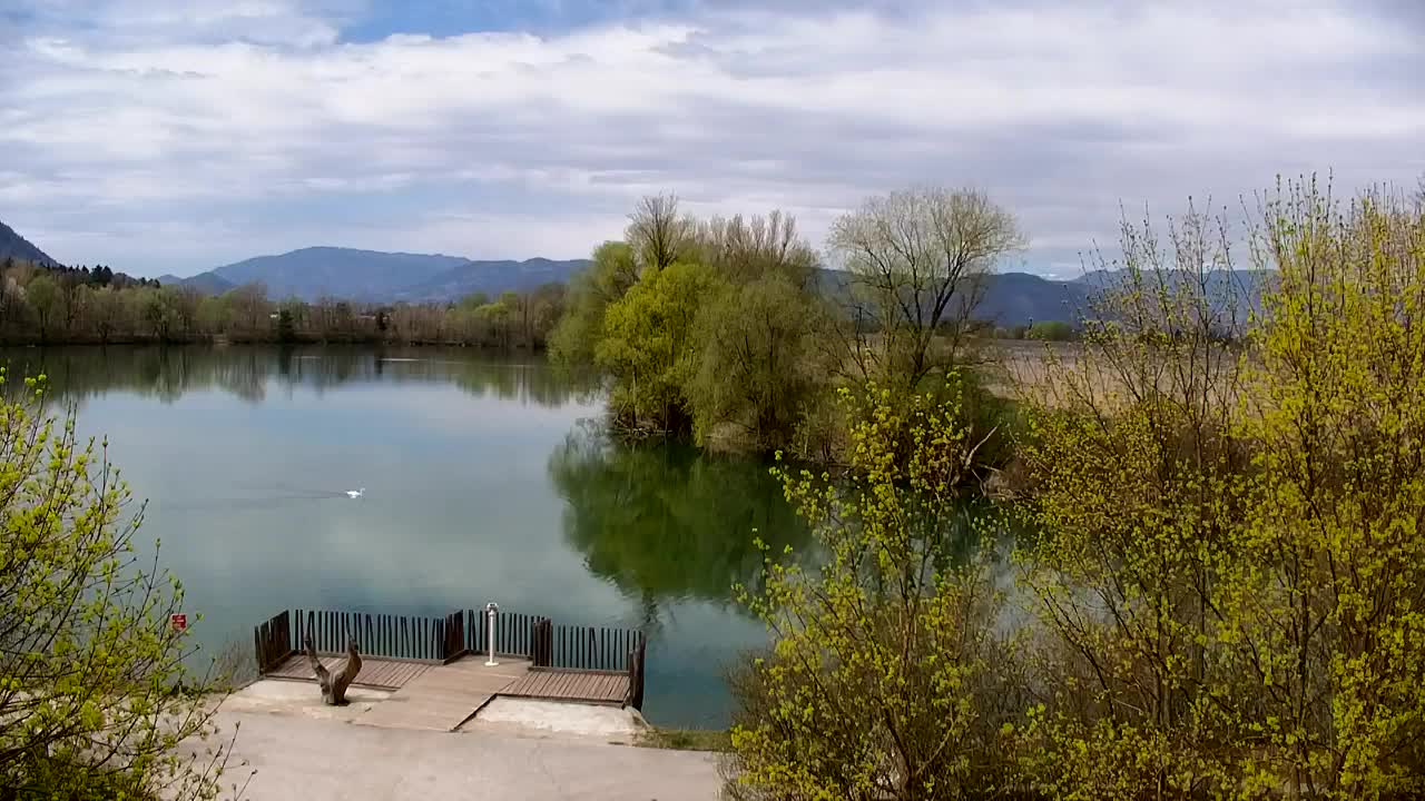 Webcam Ribnik Vrbje – Žalec