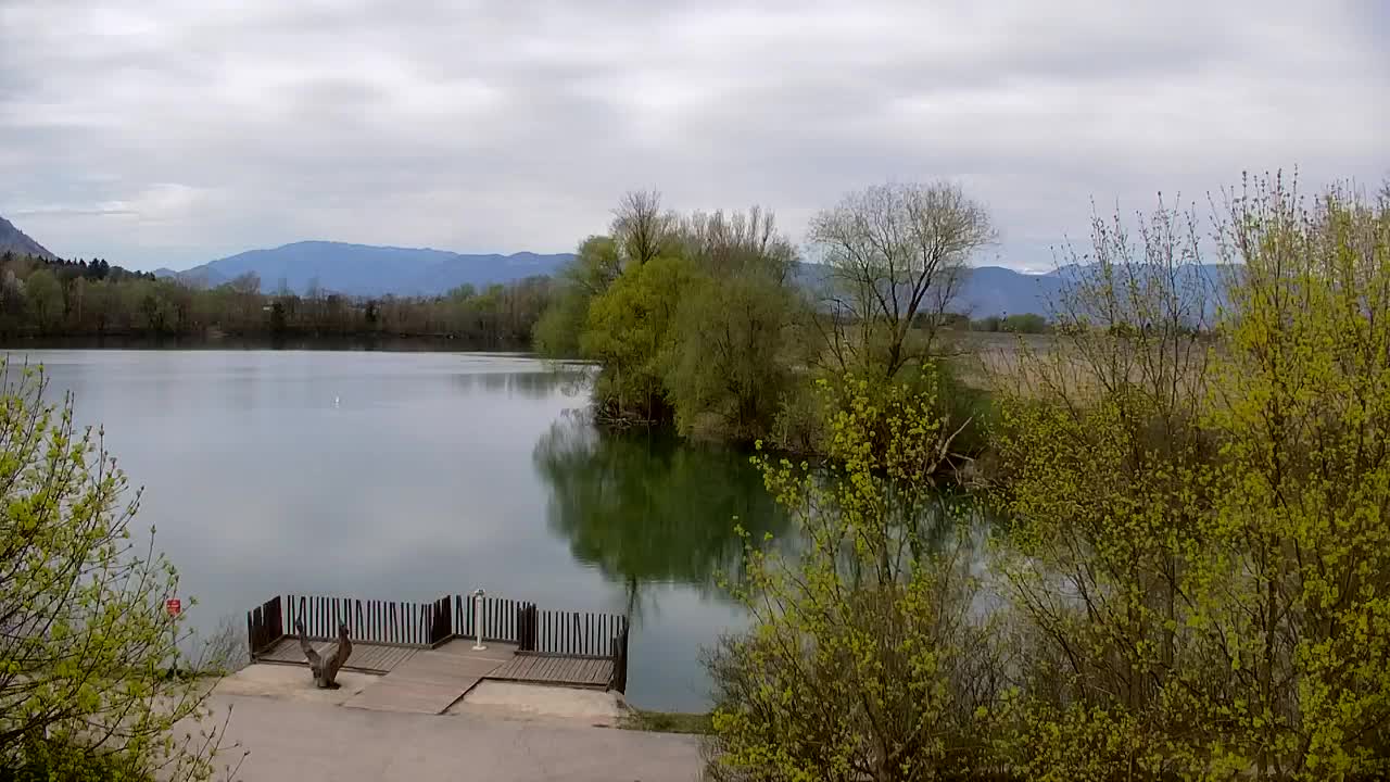 Webcam Ribnik Vrbje – Žalec