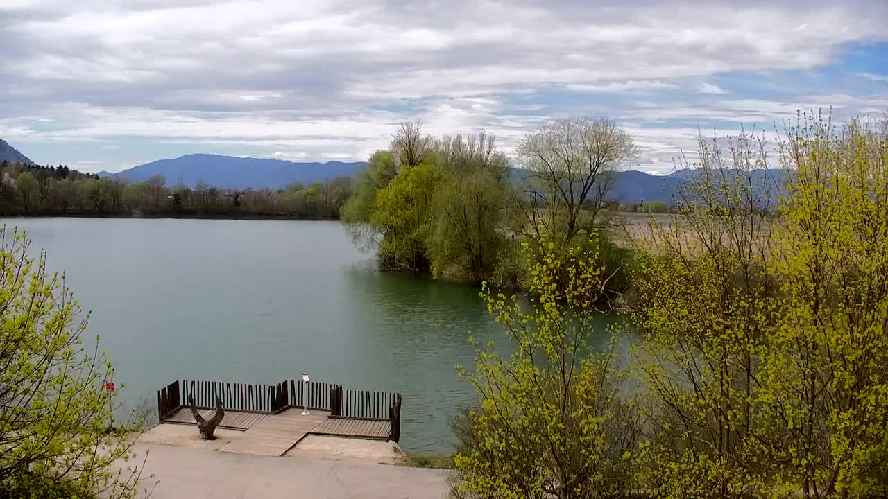 Webcam Ribnik Vrbje – Žalec