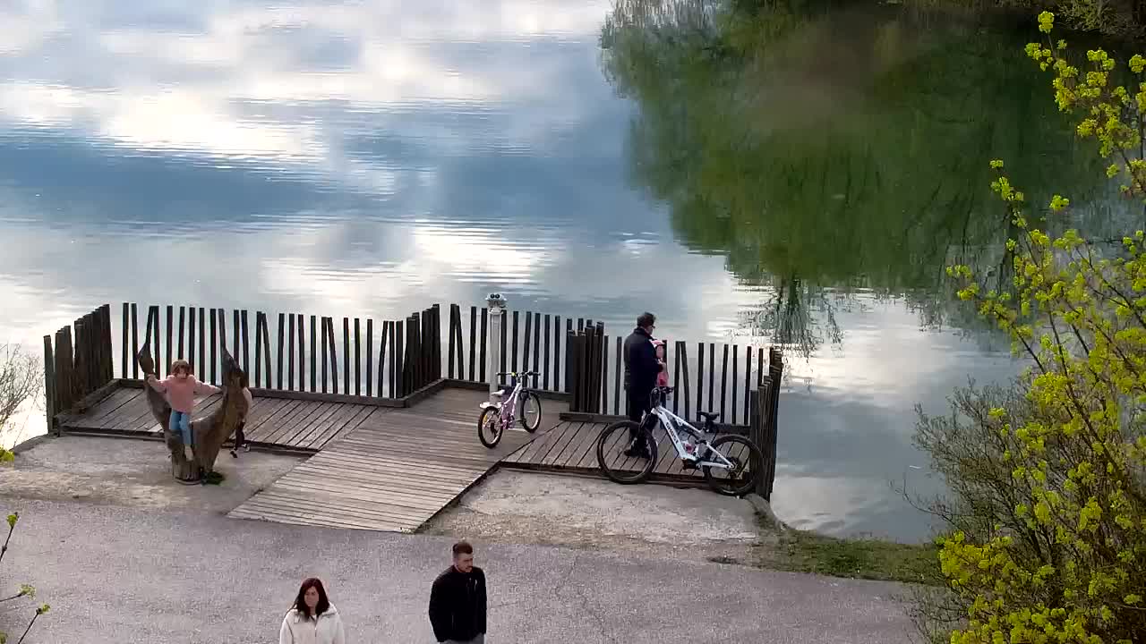 Webcam Ribnik Vrbje – Žalec