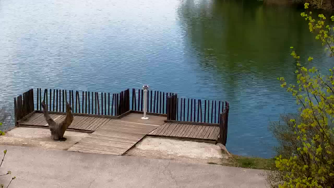 Webcam Ribnik Vrbje – Žalec