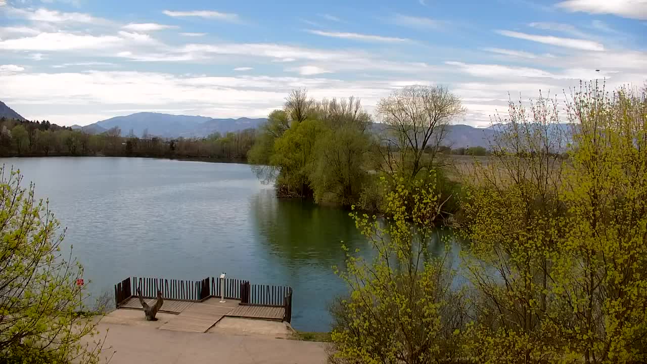 Webcam Ribnik Vrbje – Žalec