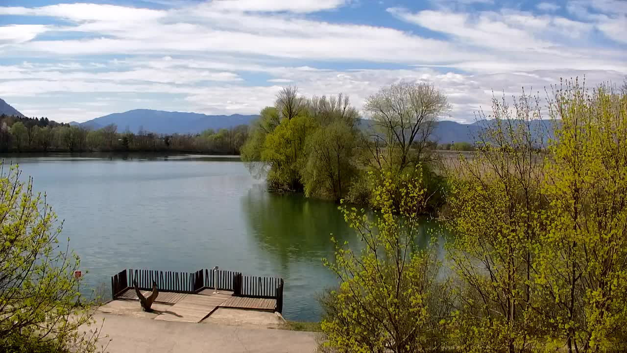 Webcam Ribnik Vrbje – Žalec