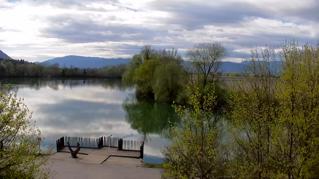 Webcam Ribnik Vrbje – Žalec