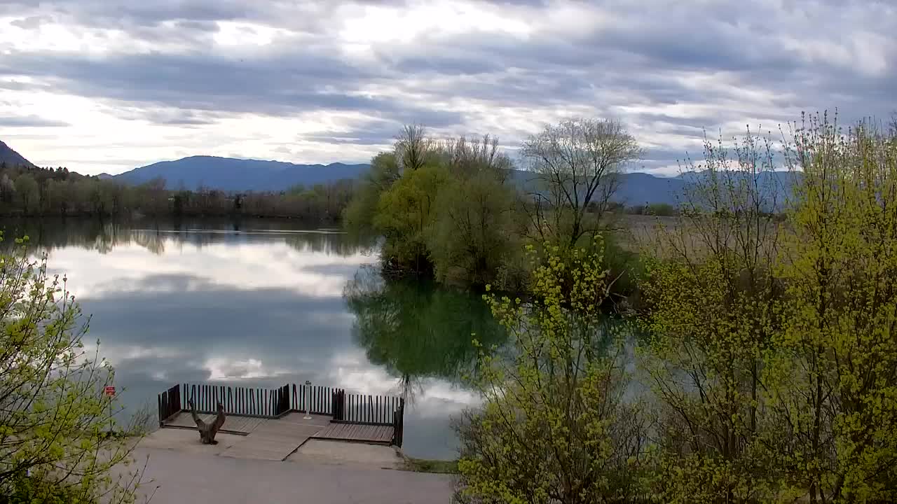 Webcam Ribnik Vrbje – Žalec