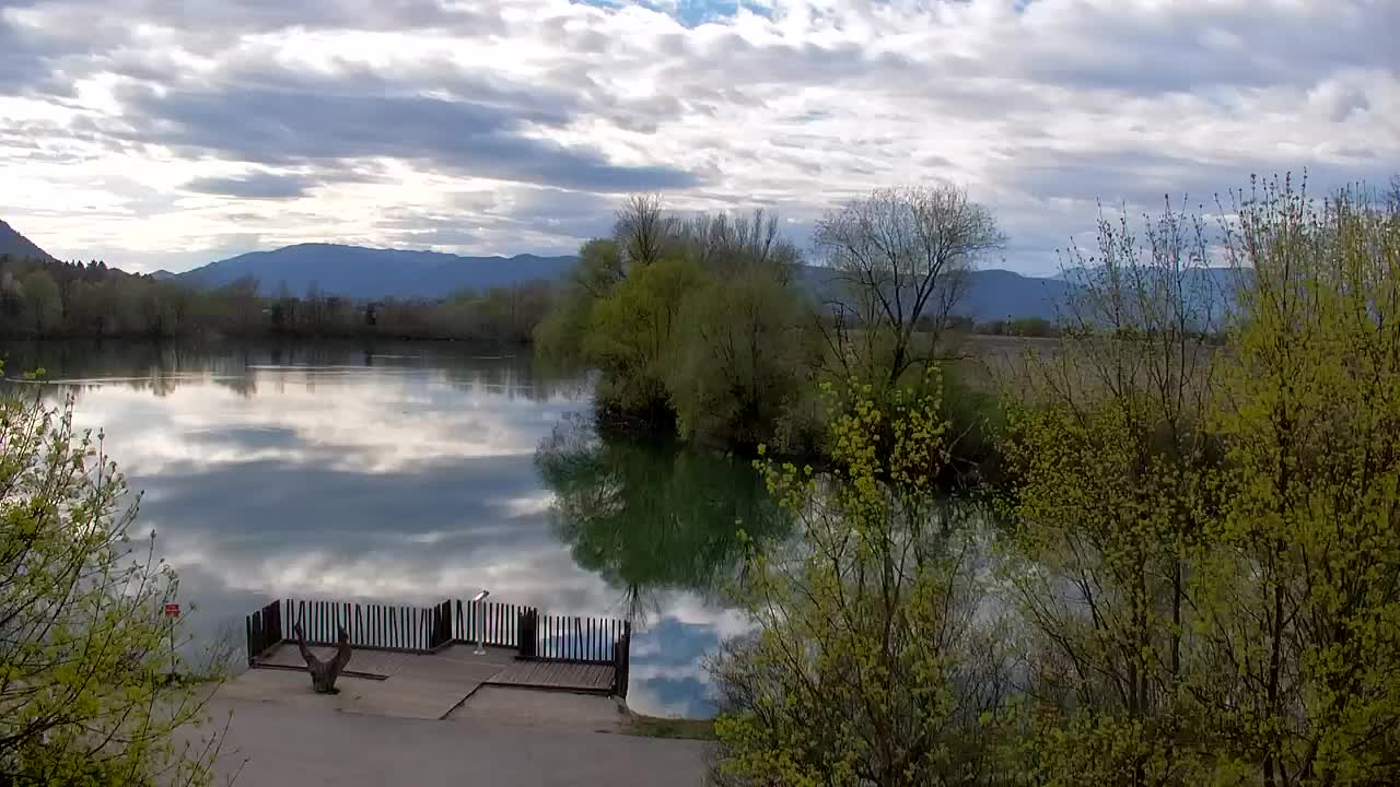 Webcam Ribnik Vrbje – Žalec