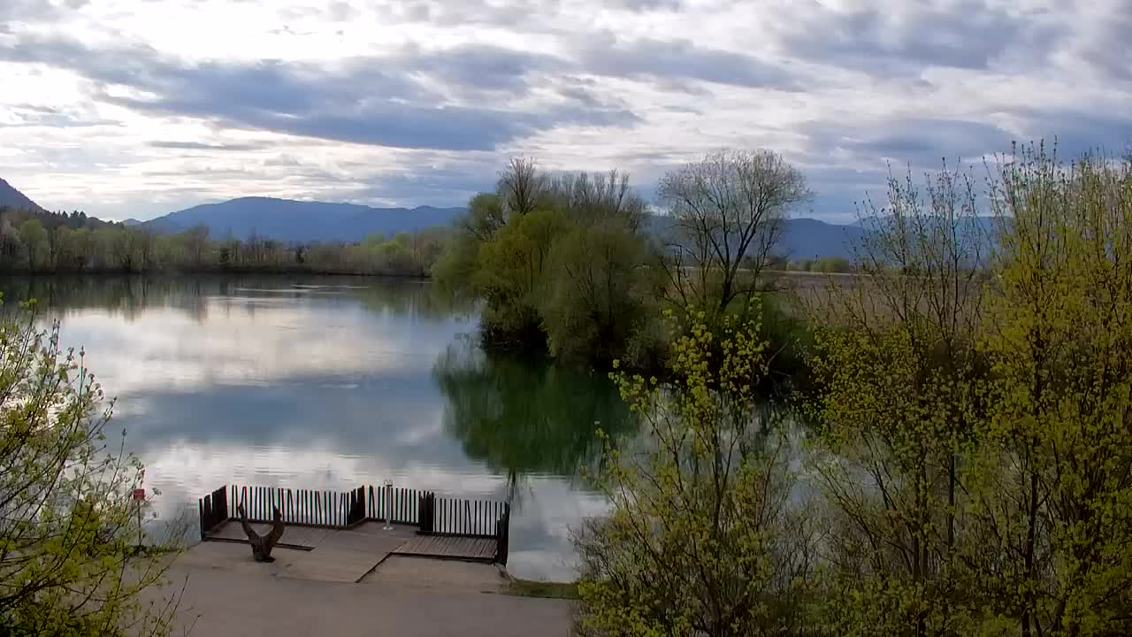 Webcam Ribnik Vrbje – Žalec