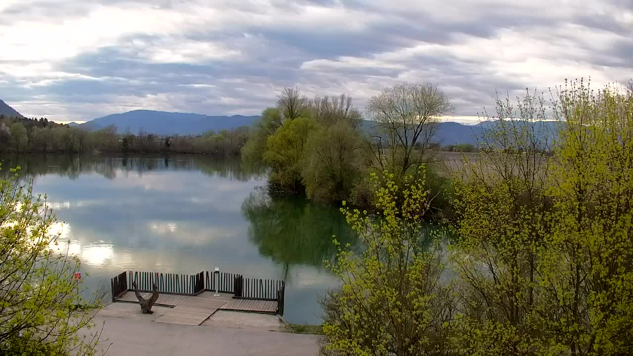 Webcam Ribnik Vrbje – Žalec