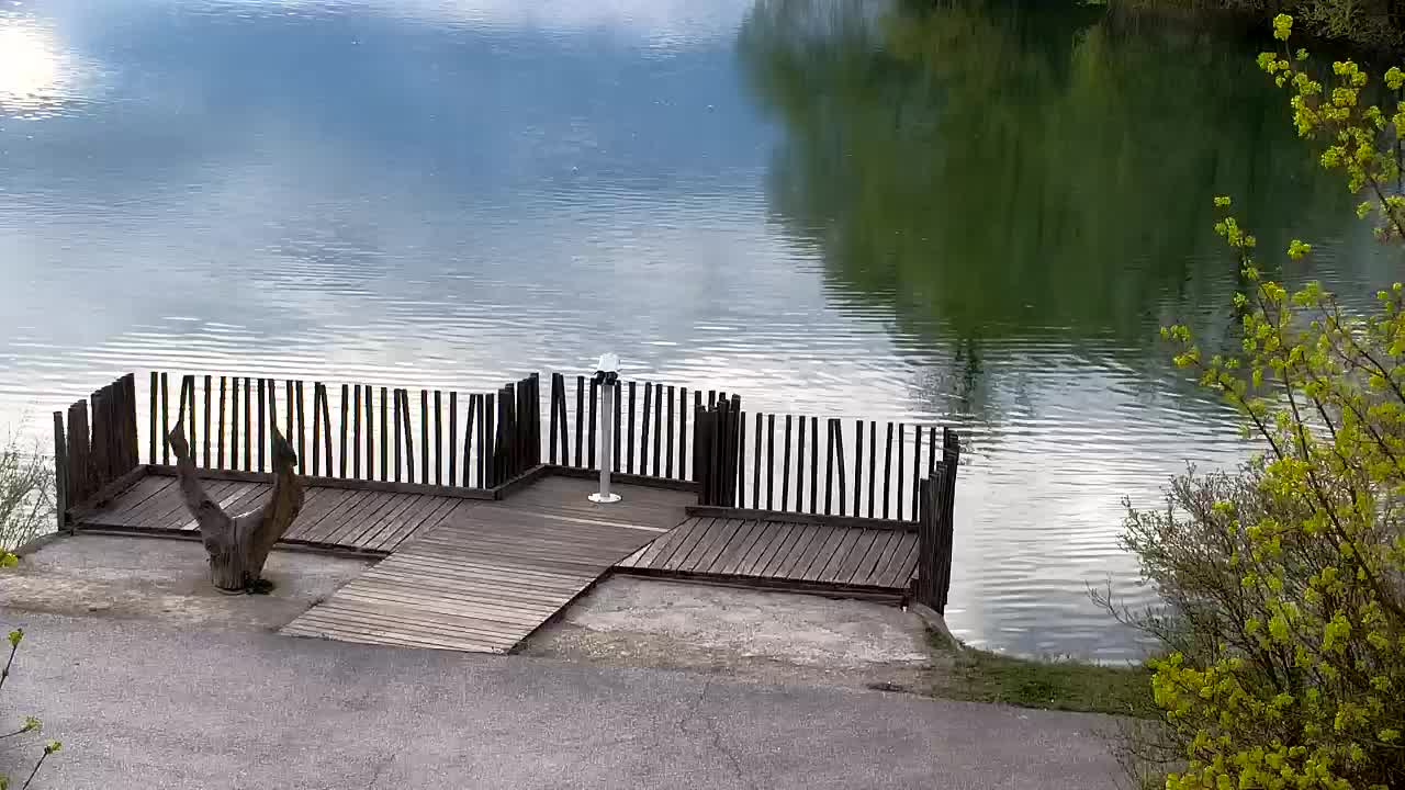 Webcam Ribnik Vrbje – Žalec