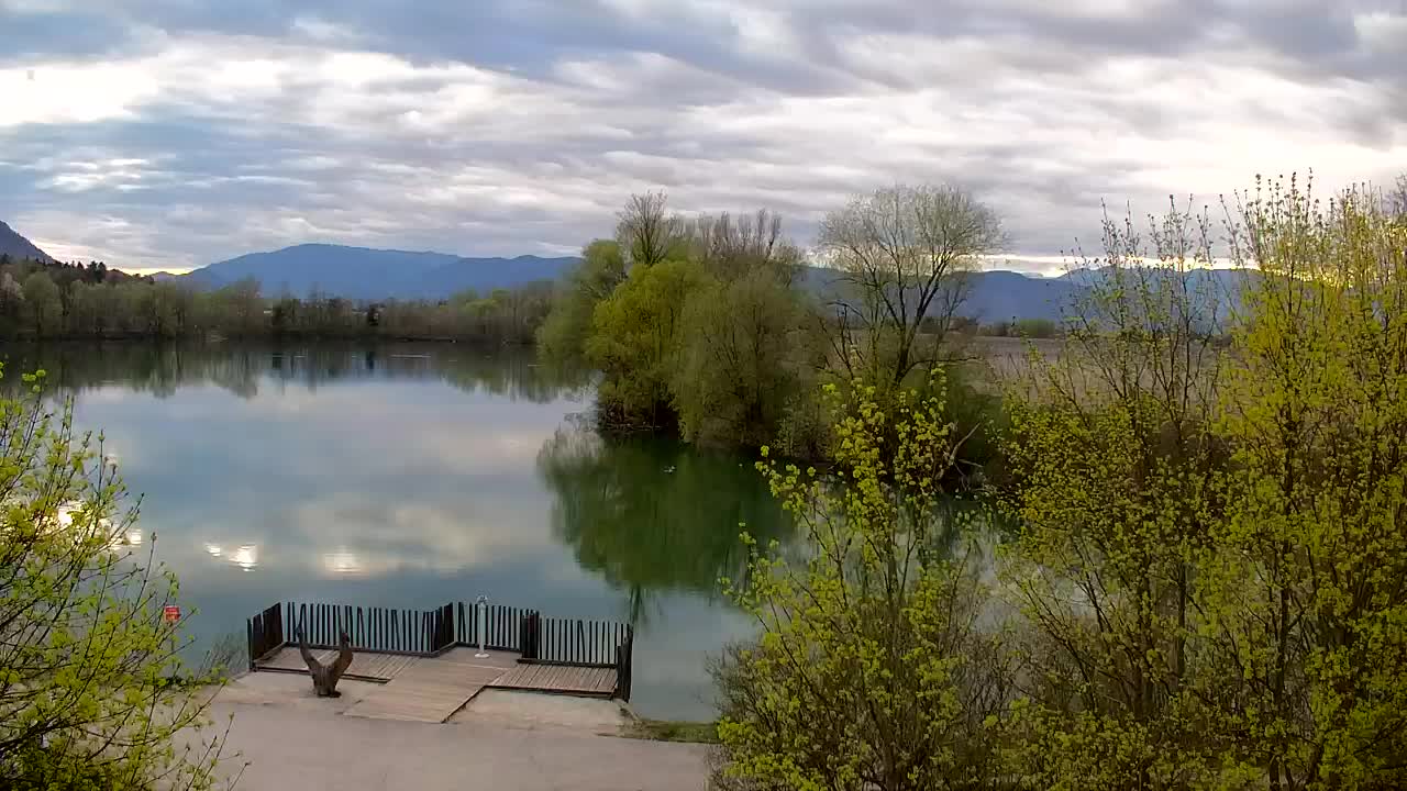 Webcam Ribnik Vrbje – Žalec