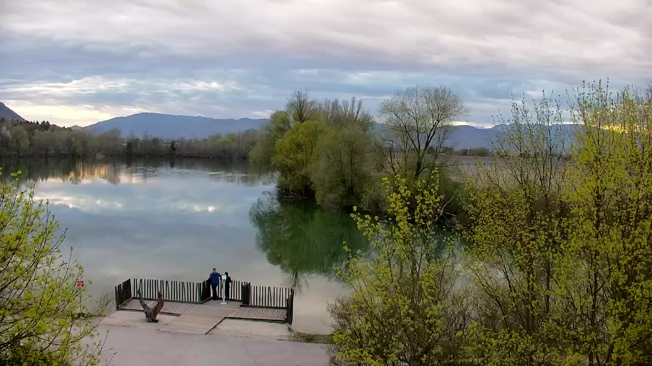 Spletna kamera Ribnik Vrbje – Žalec