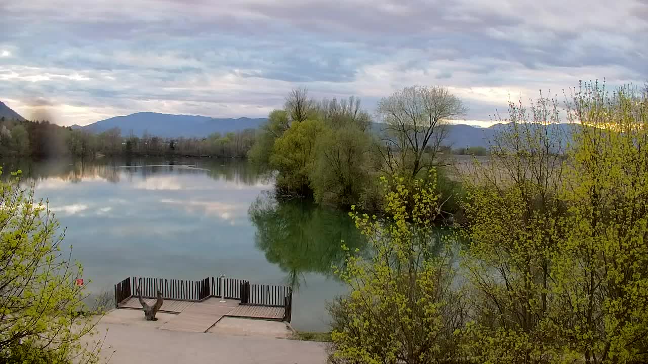 Webcam Ribnik Vrbje – Žalec