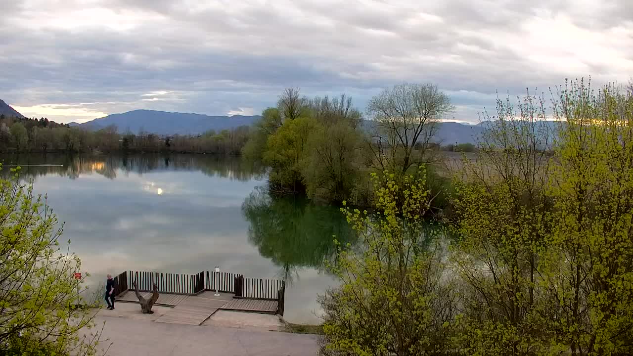 Webcam Ribnik Vrbje – Žalec