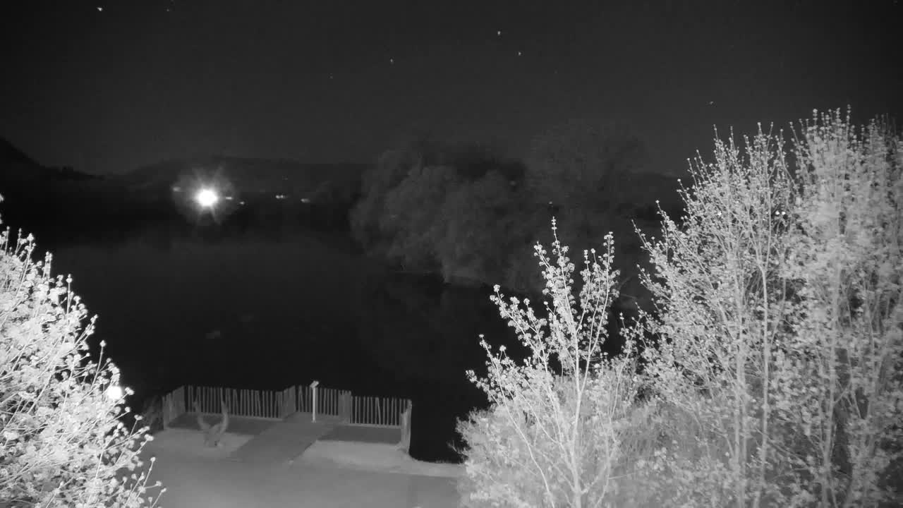 Web kamera Ribnik Vrbje – Žalec