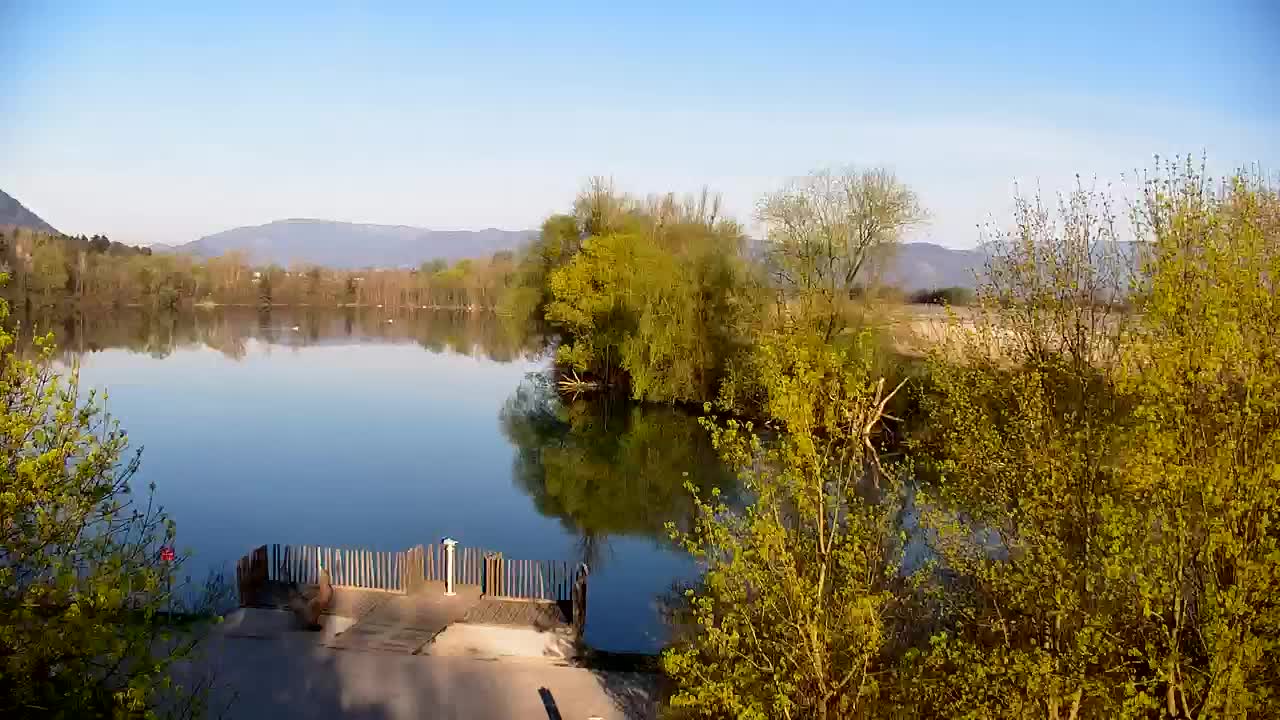 Spletna kamera Ribnik Vrbje – Žalec