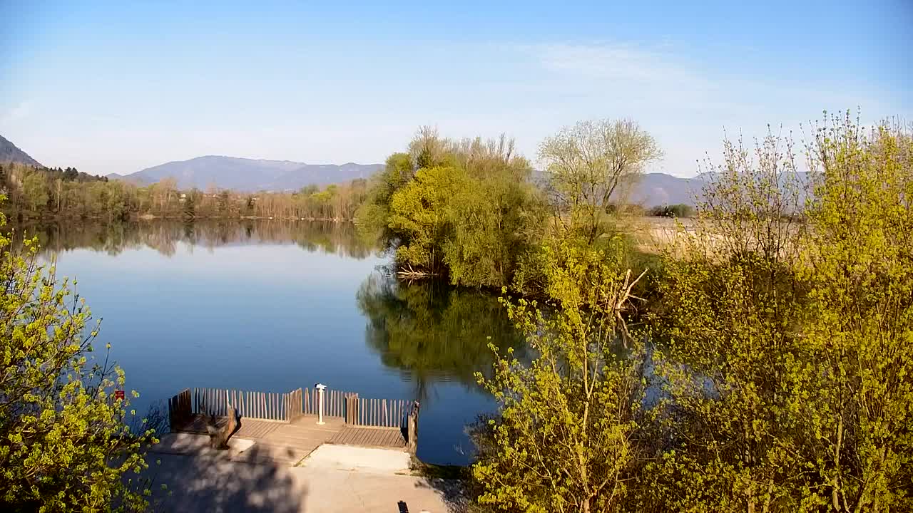 Webcam Ribnik Vrbje – Žalec