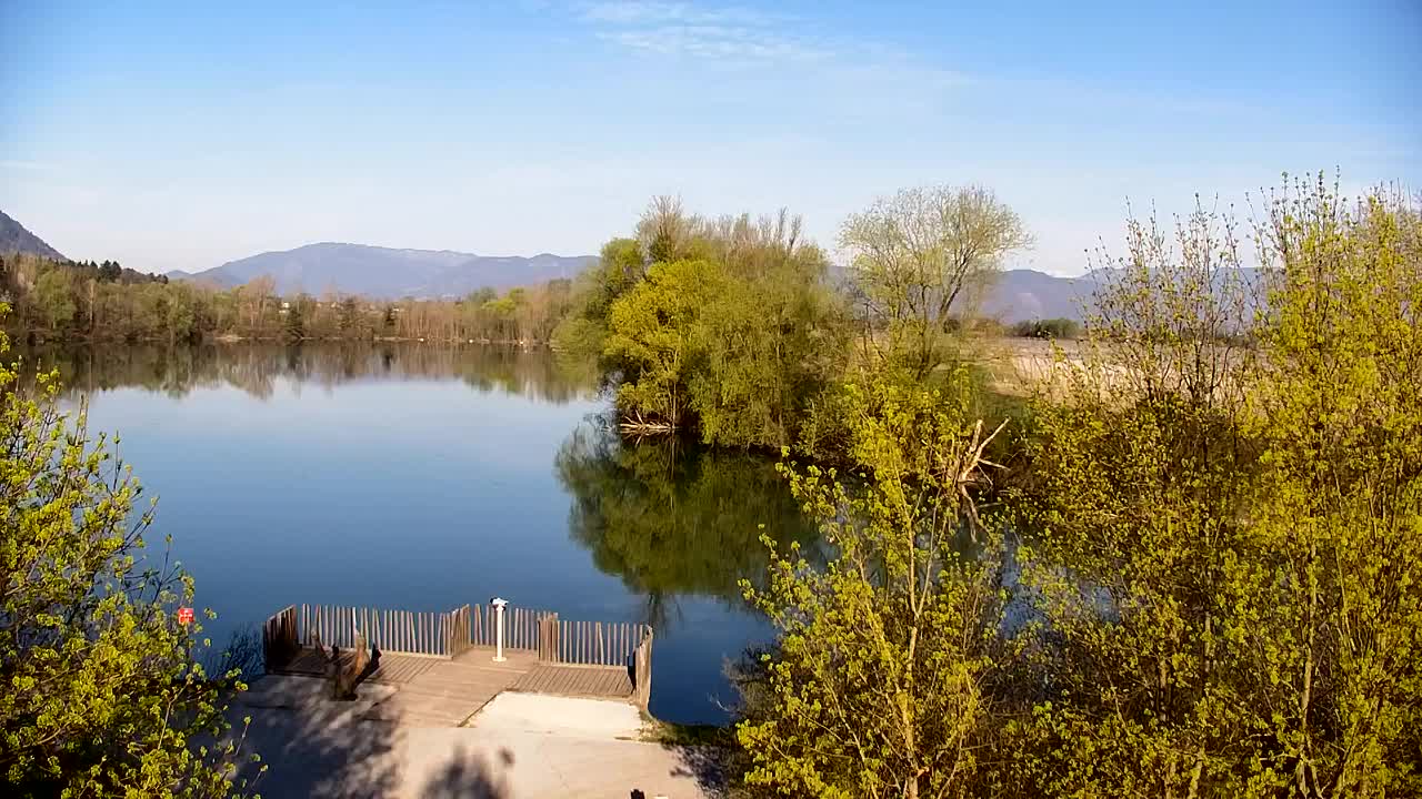 Webcam Ribnik Vrbje – Žalec