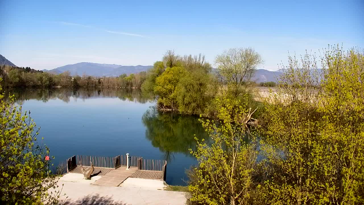 Webcam Ribnik Vrbje – Žalec