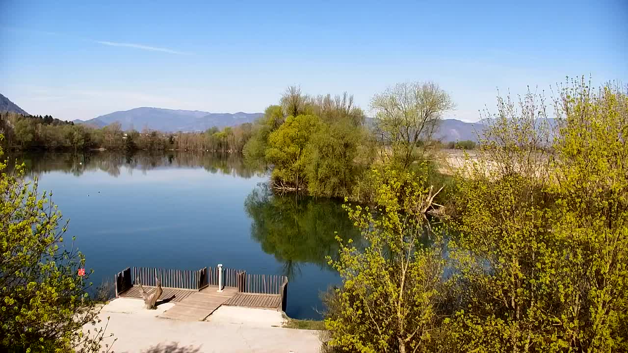 Webcam Ribnik Vrbje – Žalec