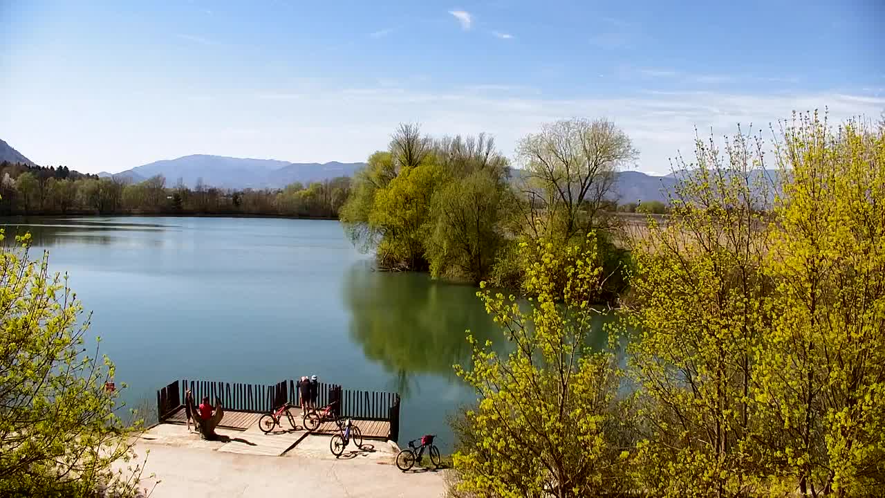 Web kamera Ribnik Vrbje – Žalec