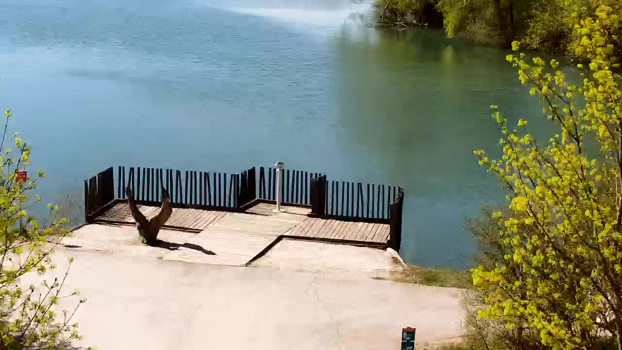 Webcam Ribnik Vrbje – Žalec