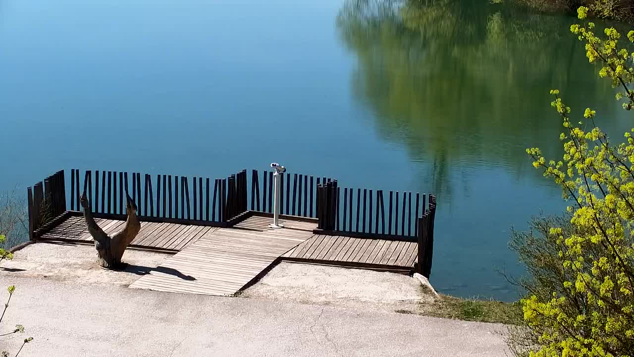 Web kamera Ribnik Vrbje – Žalec