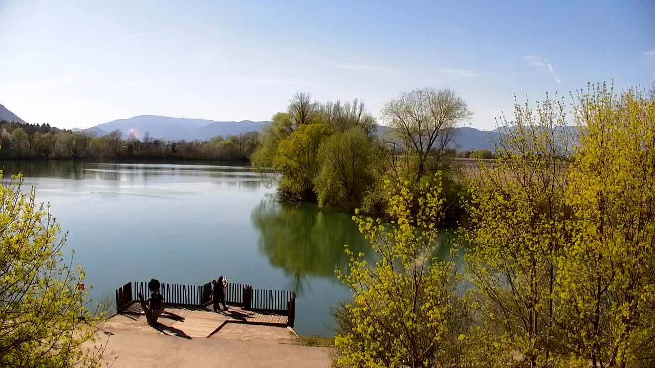 Webcam Ribnik Vrbje – Žalec