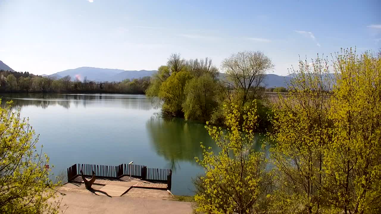 Webcam Ribnik Vrbje – Žalec