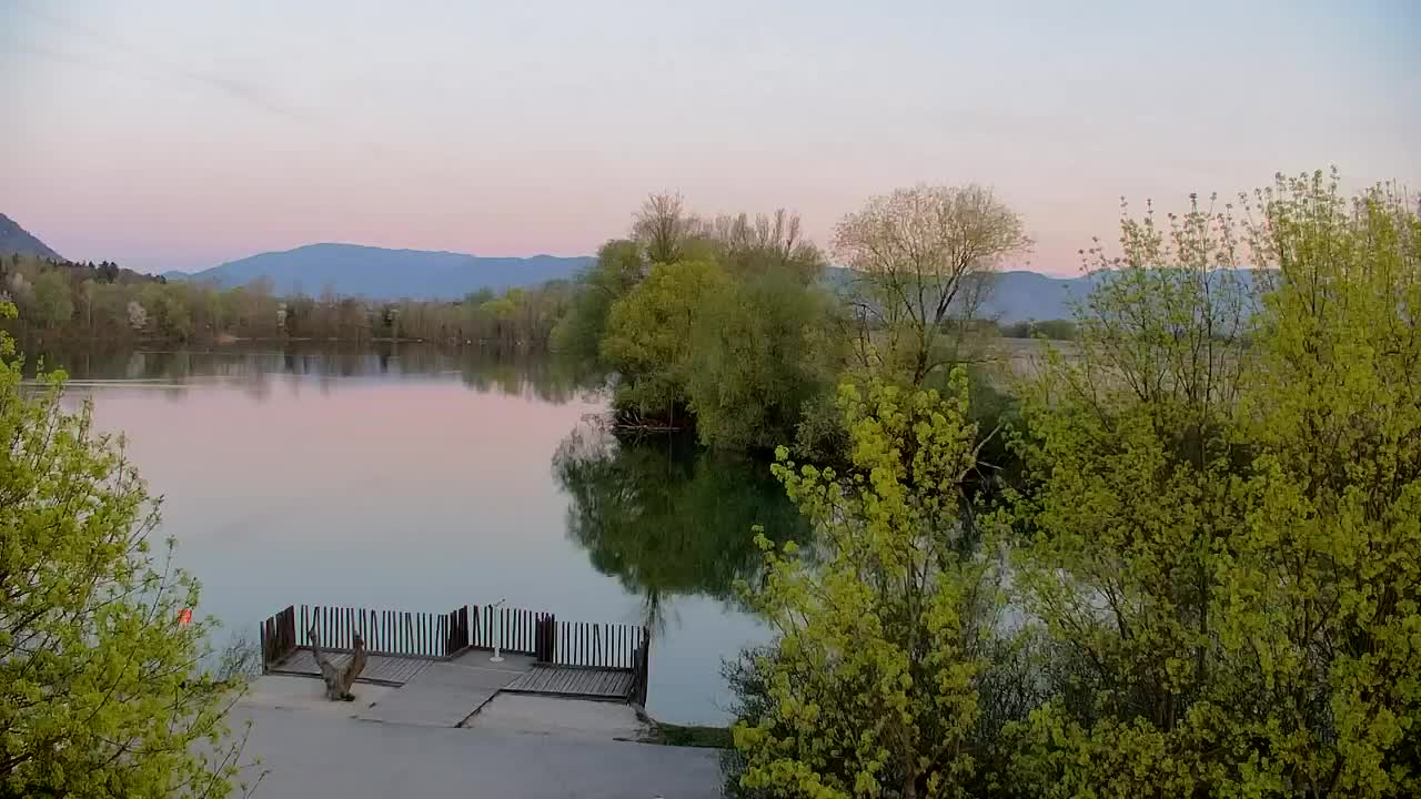 Webcam Ribnik Vrbje – Žalec