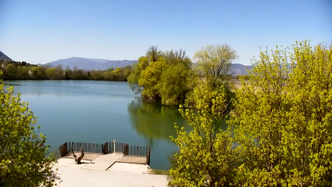 Webcam Ribnik Vrbje – Žalec