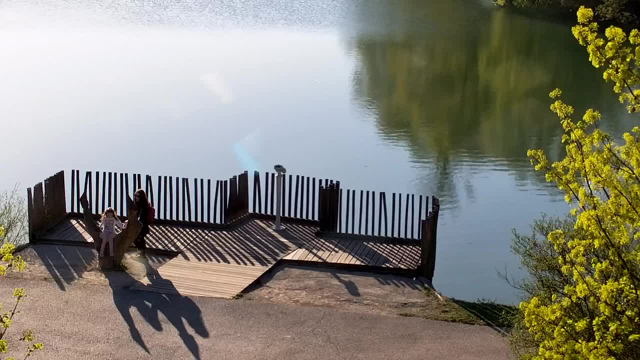 Web kamera Ribnik Vrbje – Žalec