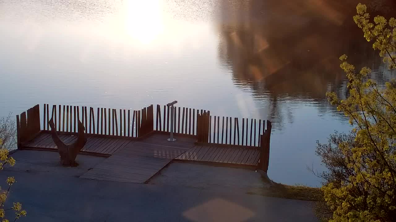 Webcam Ribnik Vrbje – Žalec