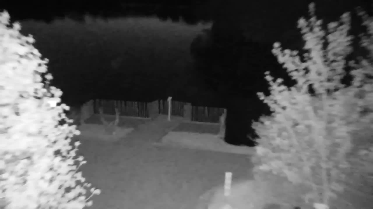 Spletna kamera Ribnik Vrbje – Žalec