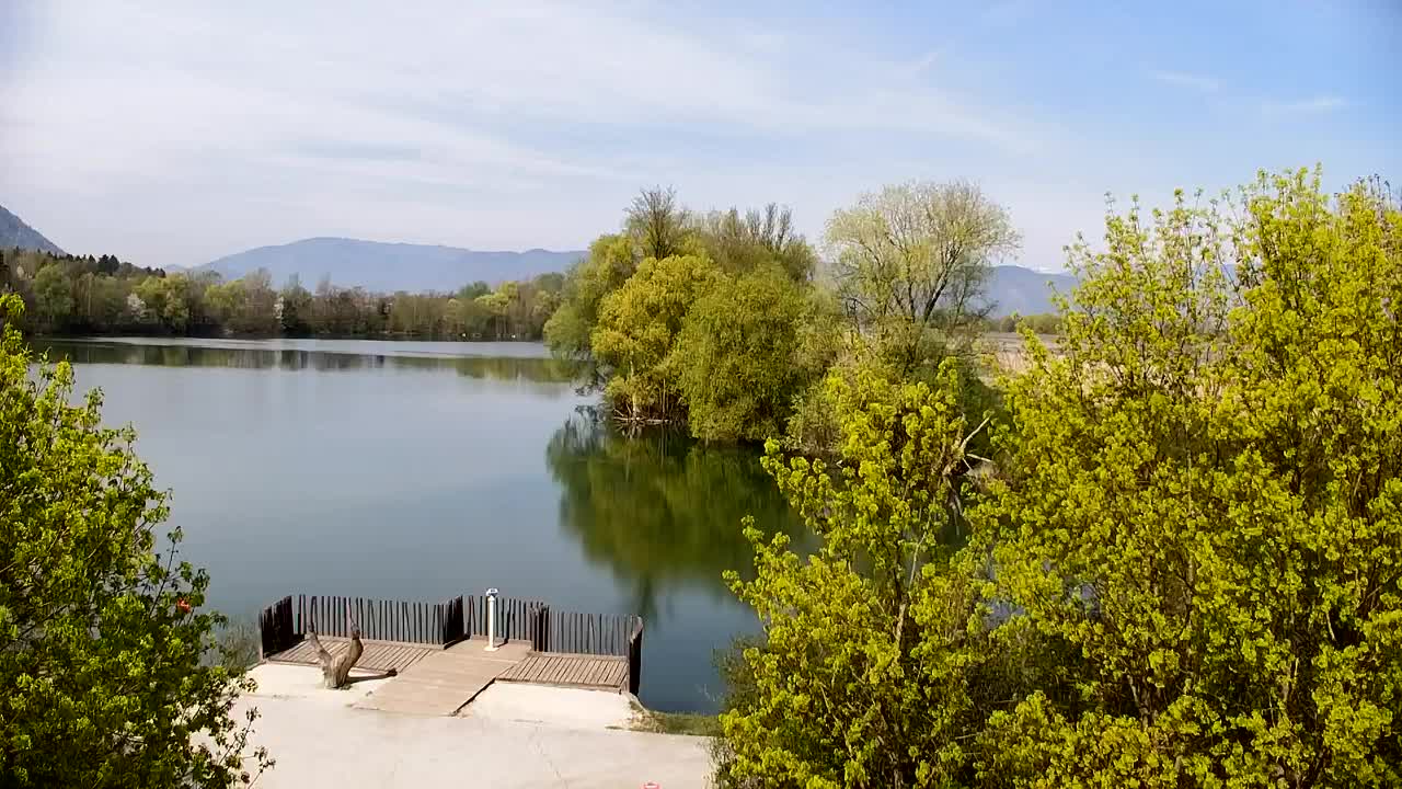 Spletna kamera Ribnik Vrbje – Žalec