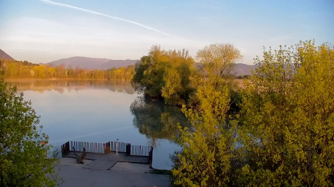 Webcam Ribnik Vrbje – Žalec