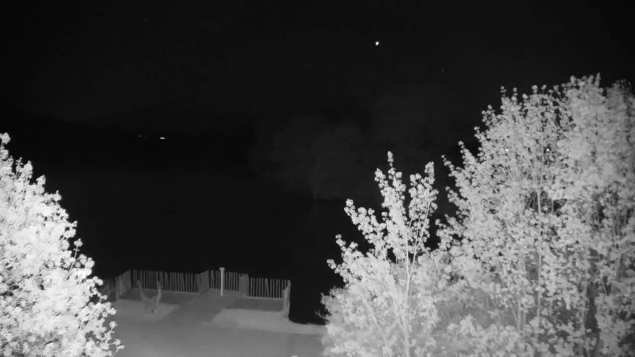 Webcam Ribnik Vrbje – Žalec