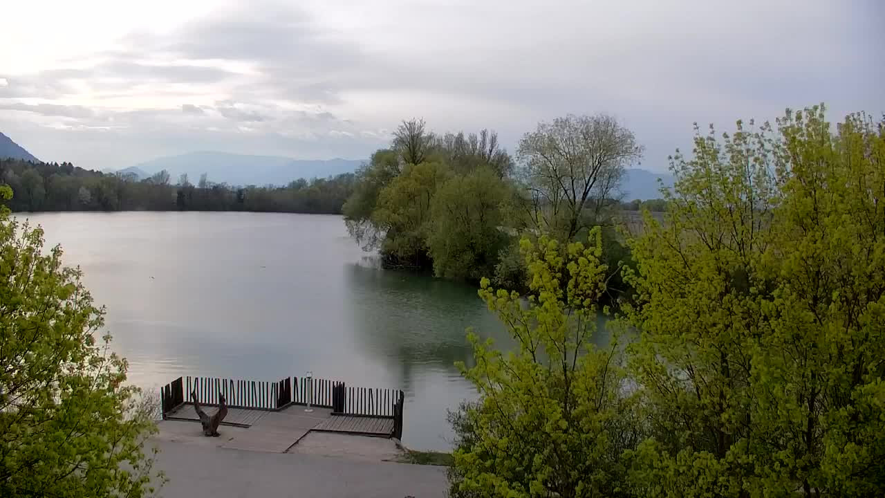 Webcam Ribnik Vrbje – Žalec