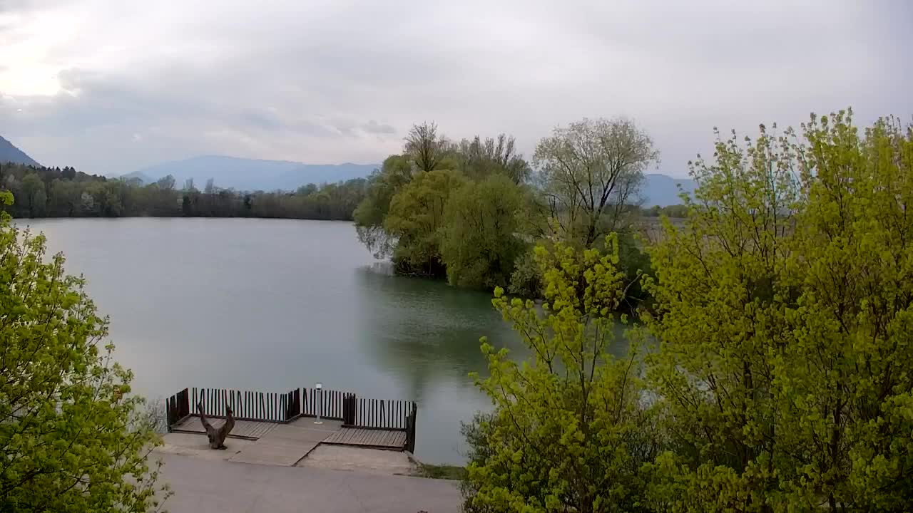 Webcam Ribnik Vrbje – Žalec