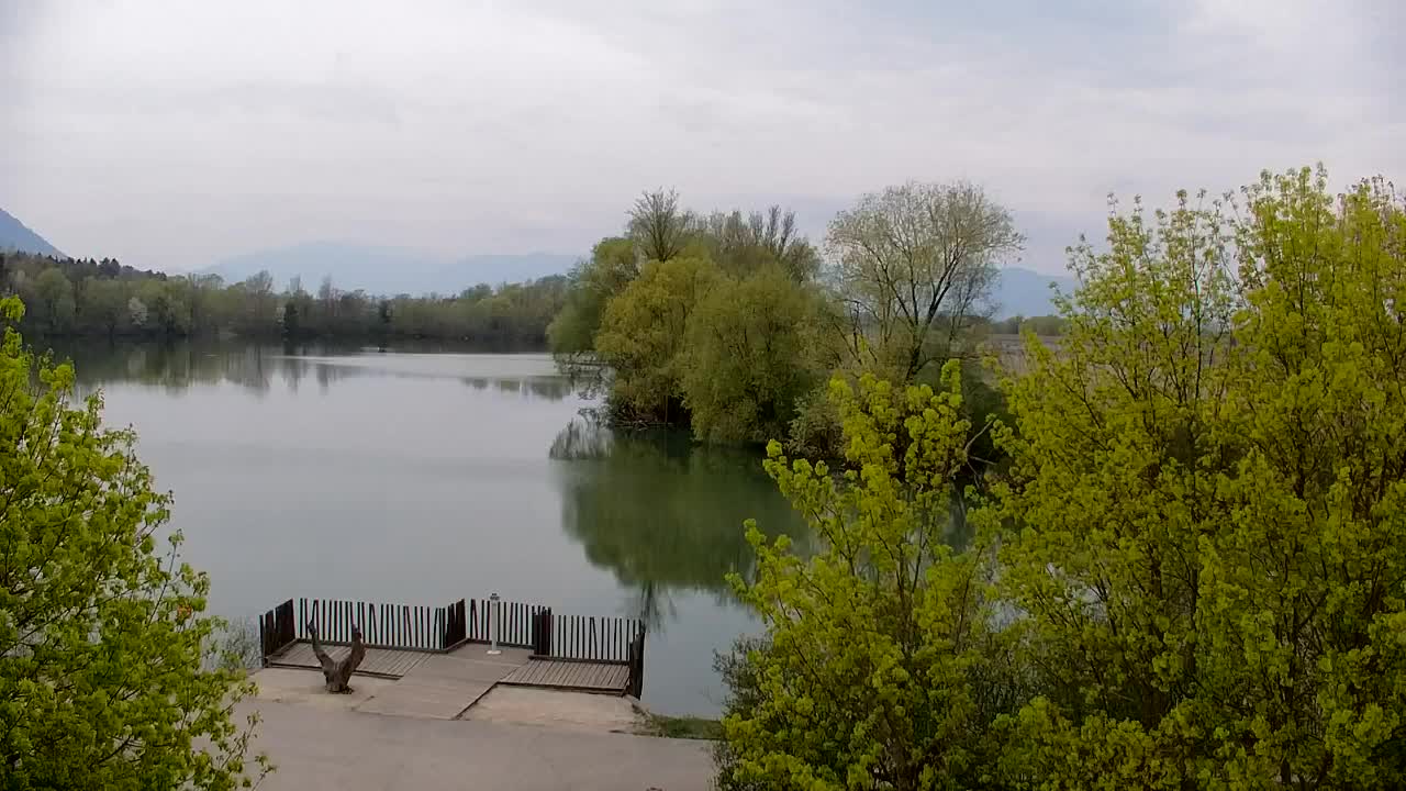 Webcam Ribnik Vrbje – Žalec