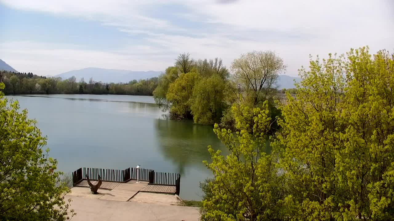 Webcam Ribnik Vrbje – Žalec