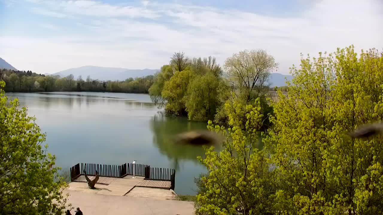 Spletna kamera Ribnik Vrbje – Žalec